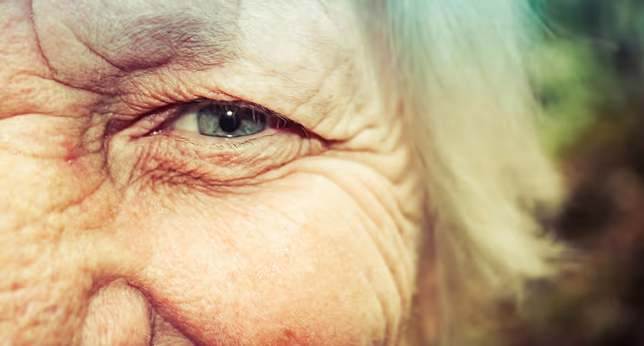 Accompagner Alzheimer dans le Var : le guide complet pour un maintien à domicile serein