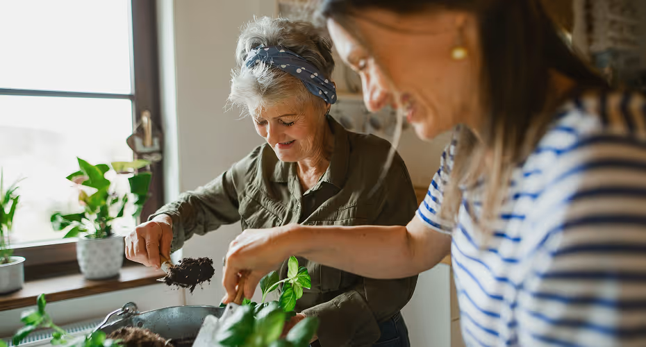Reconversion aide à domicile : et si ce métier était fait pour vous ?