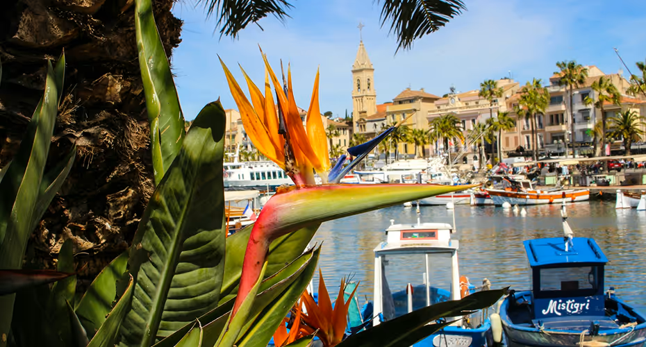 Meilleure agence d&rsquo;aide à domicile dans le Var : comment comparer pour faire le bon choix